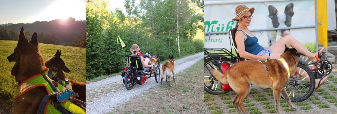 Die-TrikeBike-Geschichte-1